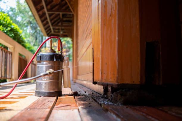 Best Mosquito Control Services  in Reynolds Heights, PA