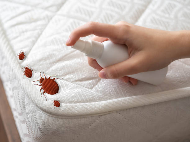 Best Ant Control Services  in Reynolds Heights, PA