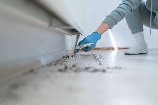 Best Cockroach Control Services  in Reynolds Heights, PA